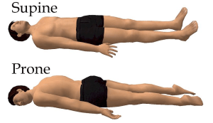 supine and prone