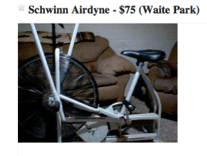 Craigslist Schwinn Airdyne