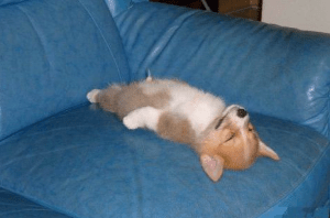 Photo credit:  advice unsolicited.tumblr.com