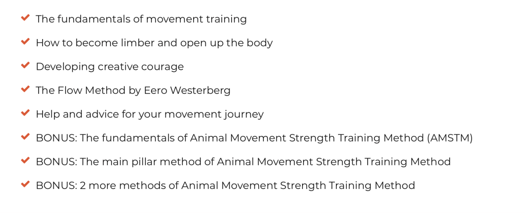 Vahva Fitness Movement 20XX